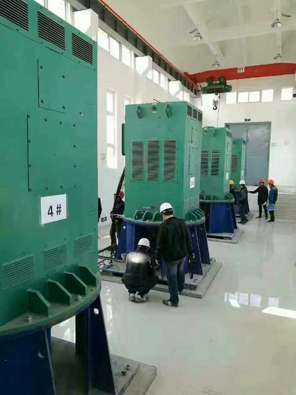 博尔塔拉某污水处理厂使用我厂的立式高压电机安装现场现货销售