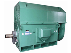 博尔塔拉Y系列6KV高压电机